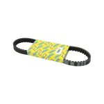 V-SNAAR 10 INCH MIO/CHINA4T/SCO GY6/V-CLIC