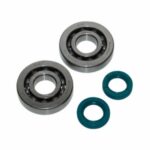 LAGER+KEERRINGSET SCO PIAGGIO 2T