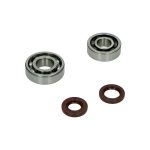 LAGER+KEERRINGSET AGILITY/CHINA4T/GY6/KYMCO4T DMP