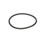 O-RING OLIEFILTERBOUT CEN/GTS300/PIAGGIO4T2V